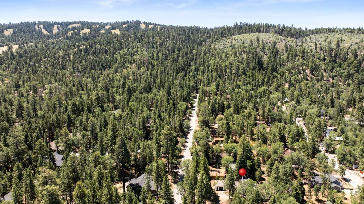 07-DJI_20250721114024_0387_D 07-DJI_20250721114024_0387_D