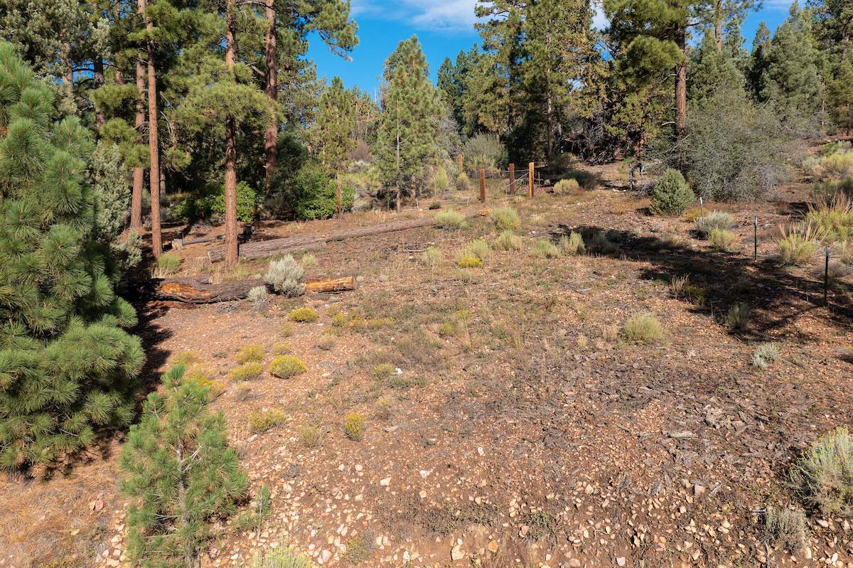 1037 Van Dusen Canyon Rd 1037 Van Dusen Canyon Rd