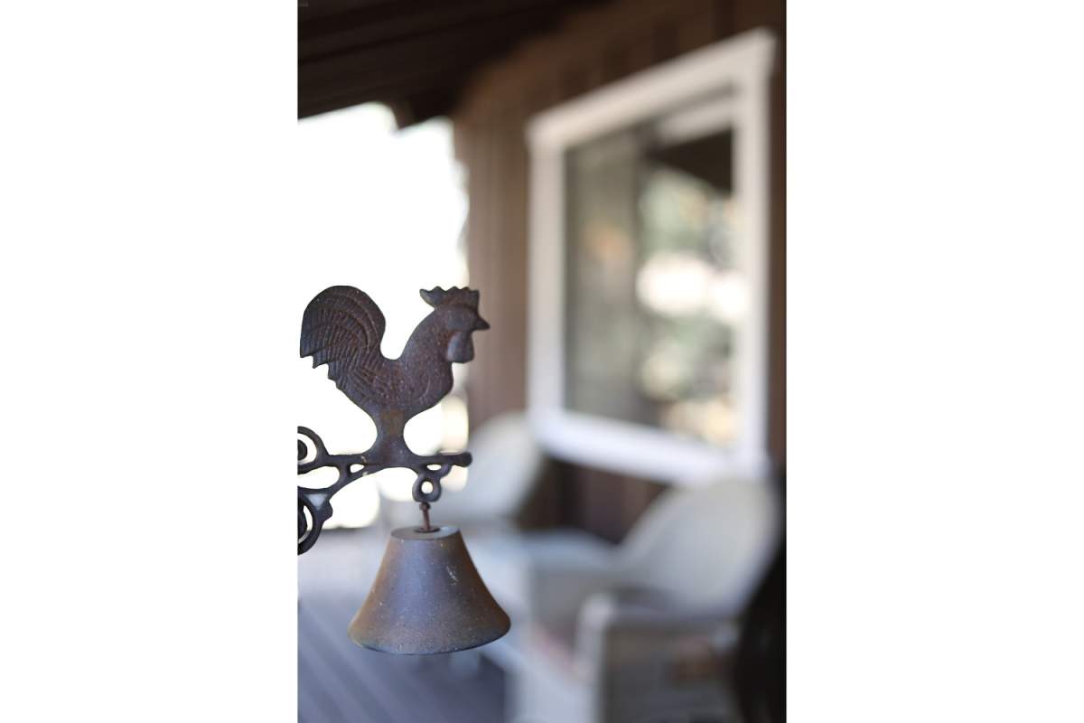 43497 Colusa Ct 43497 Colusa Ct