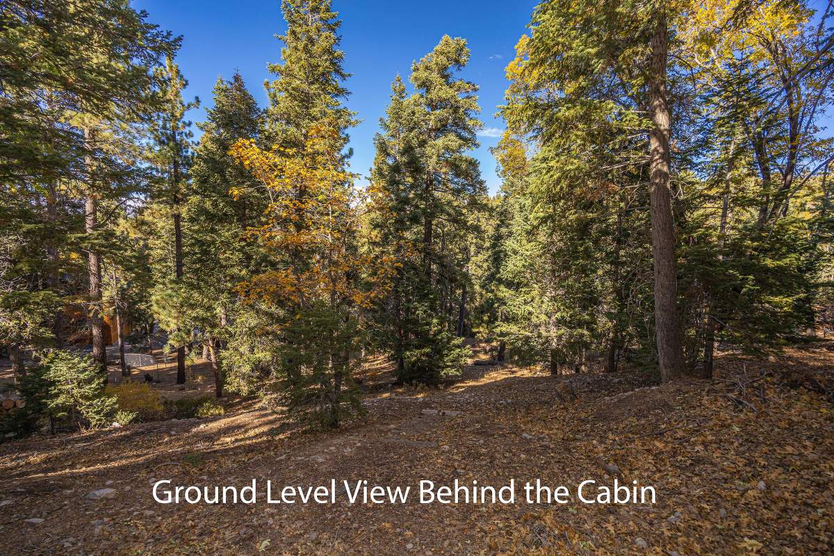 43556 Ridge Crest Dr 43556 Ridge Crest Dr