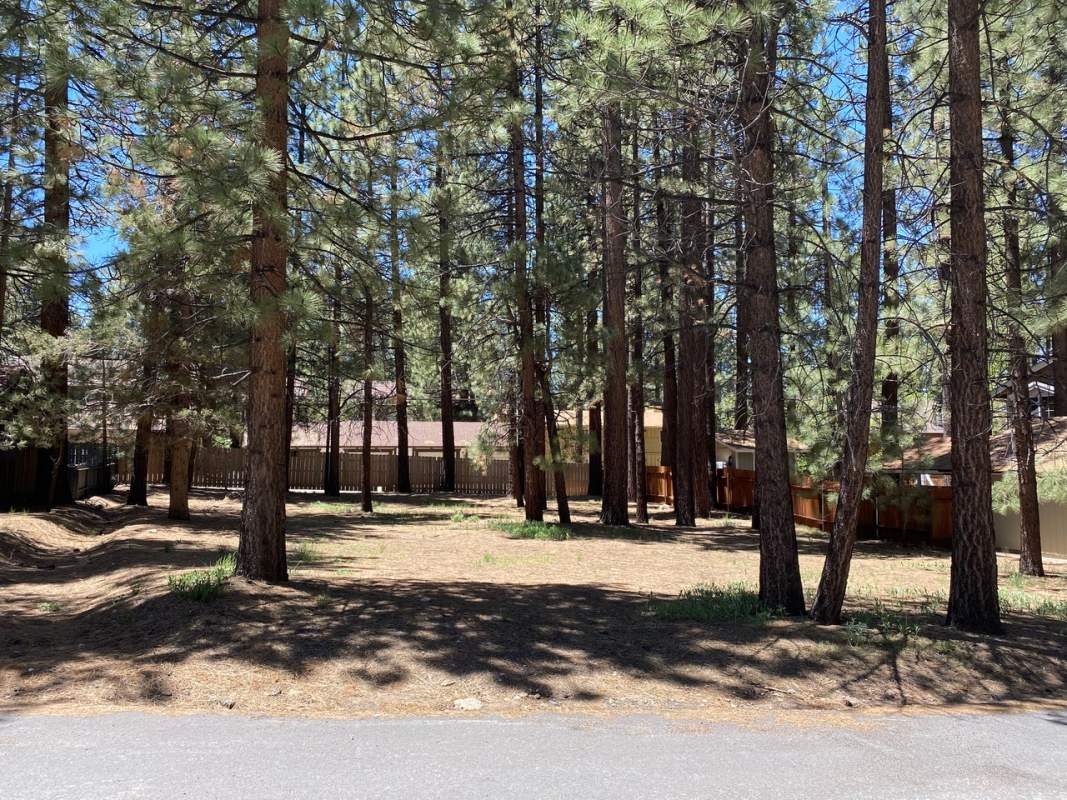 646 Ponderosa Dr 646 Ponderosa Dr