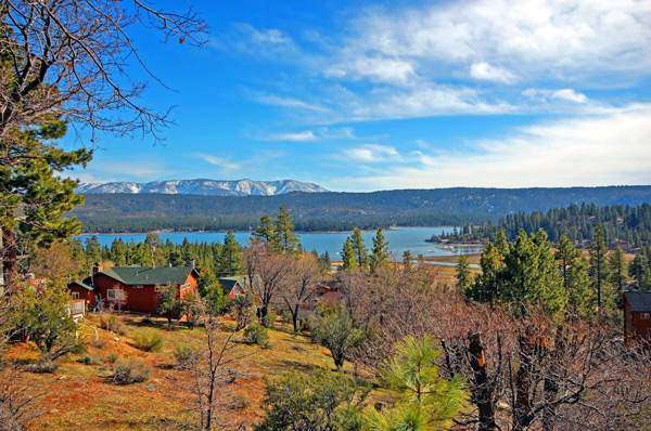 Learn more about Fawnskin